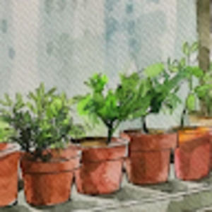 Meet your Posher, Ellie